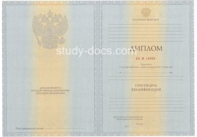 Диплом специалиста 2012-2013 в Саранске